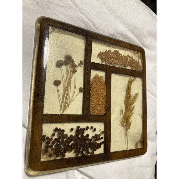 Vintage Dried Flower & Seeds Lucite Resin Trivet Hanging Art COLORFLO 1970s - Picture 2 of 9
